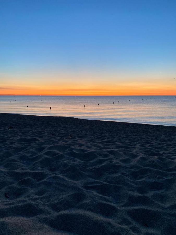 Un Petit Nid Les Pieds Dans L'Eau Argelès-sur-Mer Exterior foto